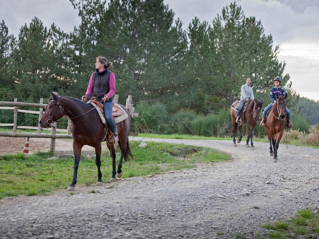 Tenuta La Silva Seggiano Luaran gambar