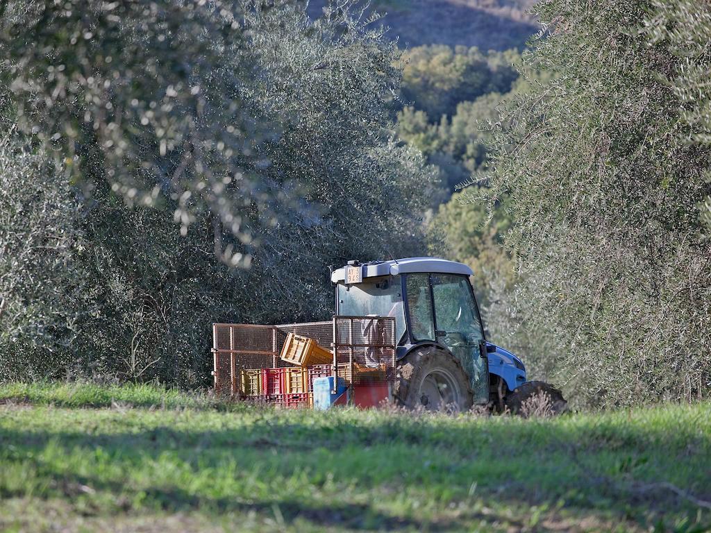Tenuta La Silva Seggiano Luaran gambar