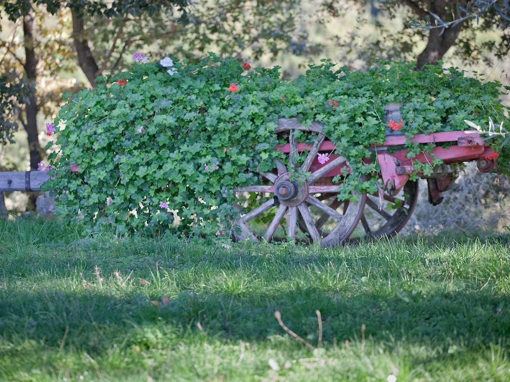 Tenuta La Silva Seggiano Luaran gambar