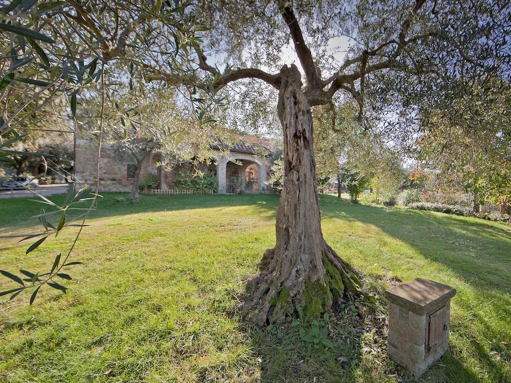 Tenuta La Silva Seggiano Luaran gambar