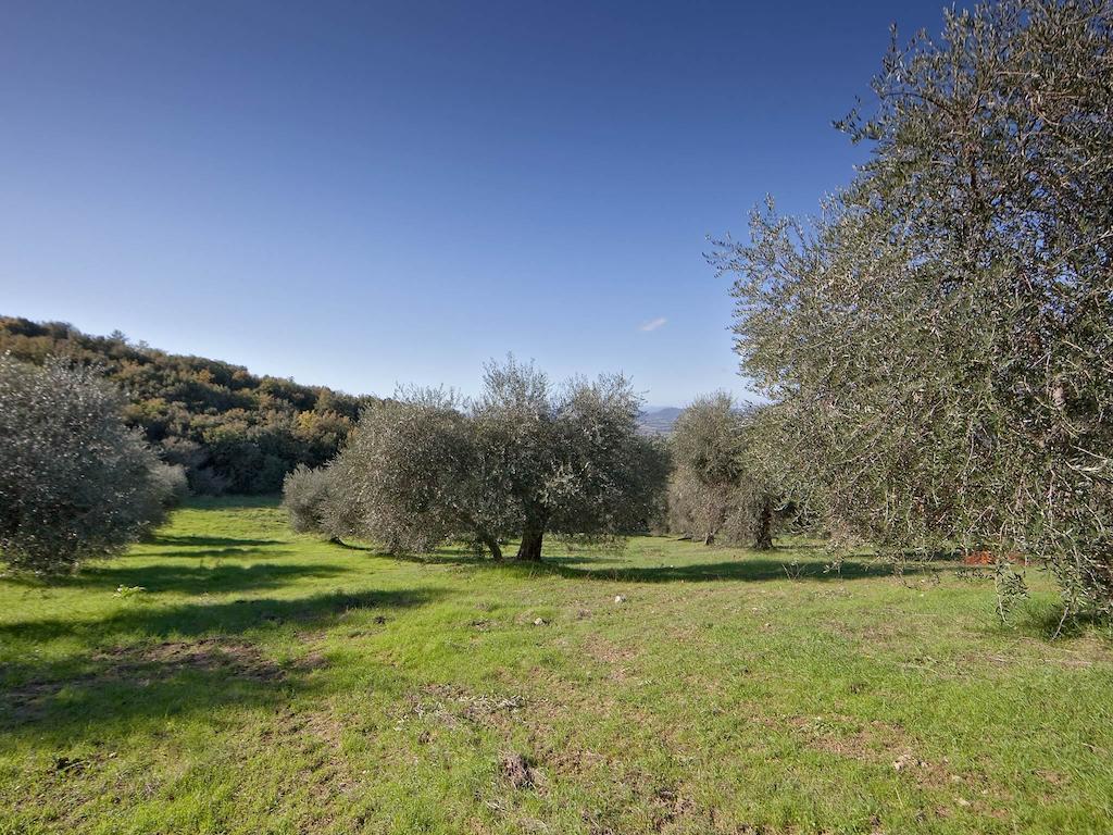 Tenuta La Silva Seggiano Luaran gambar