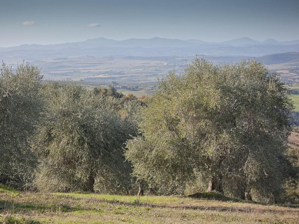 Tenuta La Silva Seggiano Luaran gambar